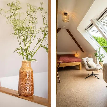 فندق مبيت وإفطار Wijngaard De Kroon Texel
