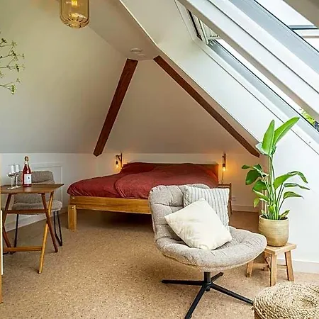 Wijngaard De Kroon Texel 3* دِن بورِخْ