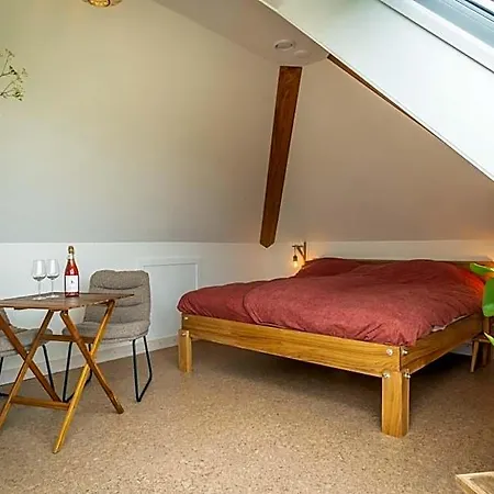 Wijngaard De Kroon Texel 3* دِن بورِخْ