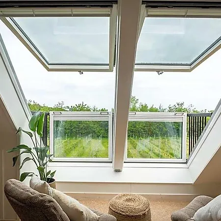 Wijngaard De Kroon Texel 3* دِن بورِخْ