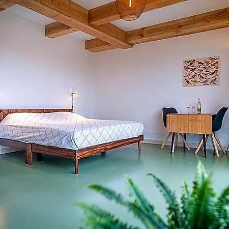 فندق مبيت وإفطار Wijngaard De Kroon Texel 3*