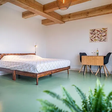 B&B Wijngaard De Kroon Texel 덴버크