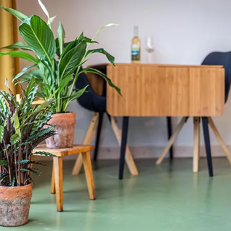 Wijngaard De Kroon Texel 3* 덴버크