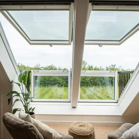 Wijngaard De Kroon Texel 덴버크