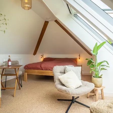 B&B Wijngaard De Kroon Texel