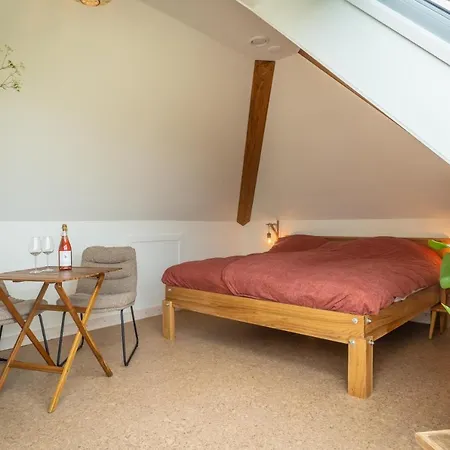 Wijngaard De Kroon Texel 3* 덴버크